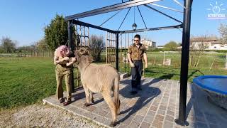 Download Lagu Let‘s dance together - send us your video MP3