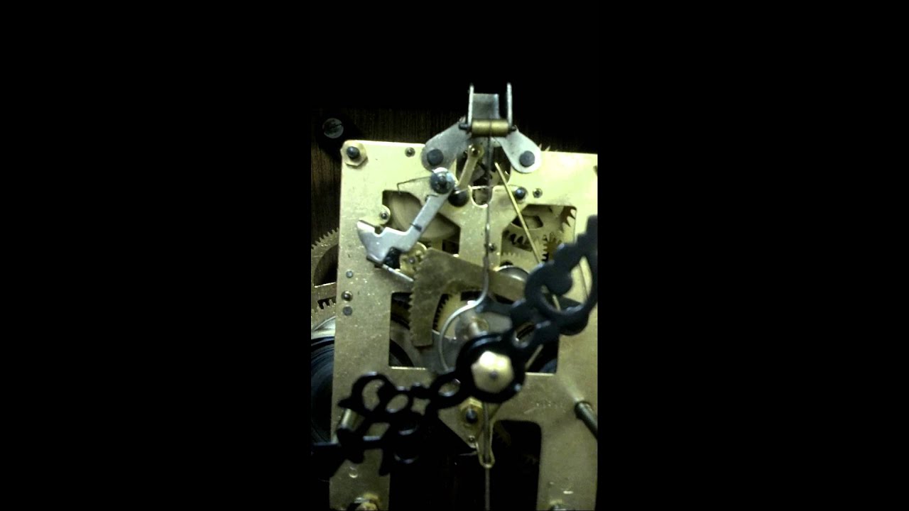 rack and snail youtube