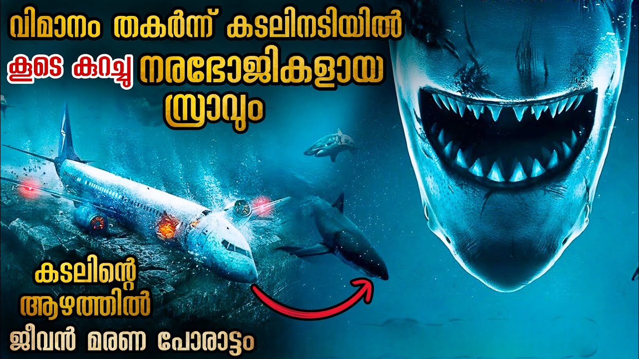 കടലിന്റെ ആഴത്തിൽ വിമാനത്തിൽ പെട്ടുപോയവർ