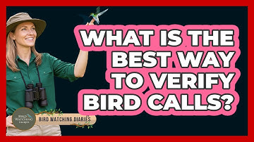 What Is The Best Way To Verify Bird Calls?