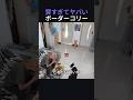賢すぎてヤバいボーダーコリー