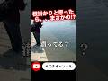 根掛かりと思ったらまさかの⁉︎#バス釣り #temu #釣りガール