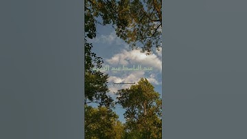 ما تيسر من سورة الزمر | فبشر عباد | بصوت الشيخ عبد الباسط عبد الصمد