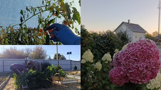 картинка: Сельские будни матушки/Первые морозы/Такое вам никто не покажет 🤣