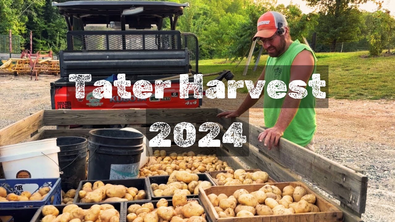 The Earliest Harvest We Can Remember | Homestead Vlog | July 1, 2024