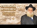 Parashá Beshalach 5777 2017 Sinagoga de Ipanema 11 02 2017