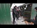 Посещение химкинского приюта для собак GetDog