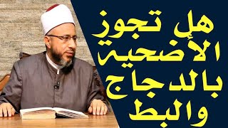 هل تجوز الأضحية بالدجاج والبط كما نسمع فى بعض الفضائيات ؟ الأستاذ الدكتور محمد سيد سلطان