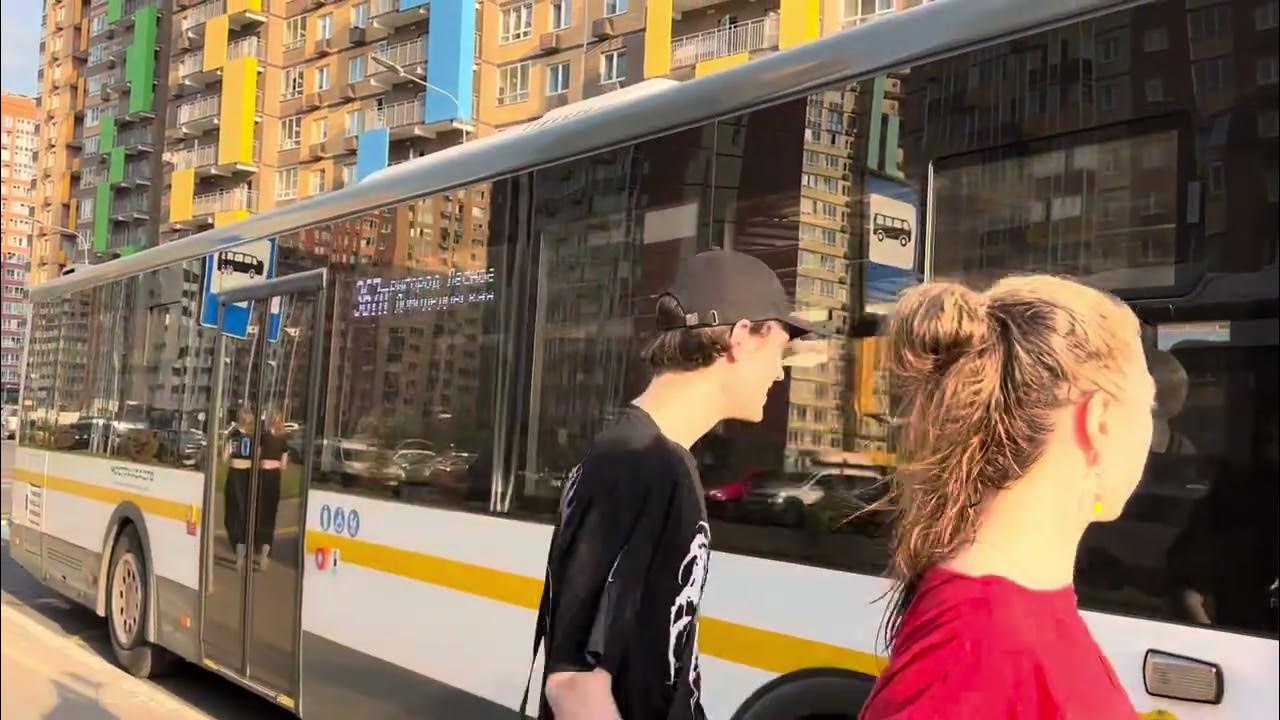 Автобус переехал женщину. Необычайное происшествие. В домодедово автобус переехал женщину. Автобус видное москва. Прогород автобус переехал женщину.