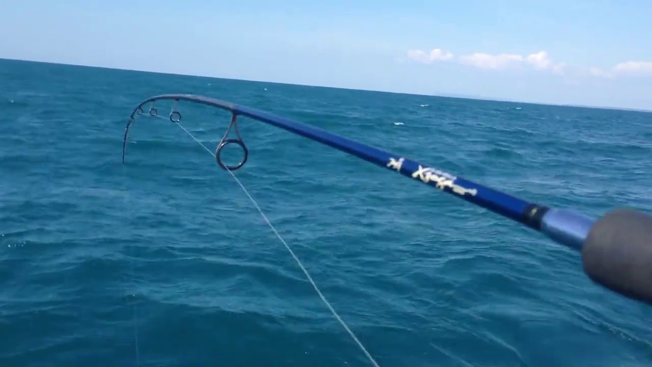 แคโรไลน่าริกเหยื่อจิ๊กพ่วงหนอนยางอาจิ ลงไปจัดการเมื่อปลาไม่กัดเหยื่อจิ๊ก | Carolina Jig Rig