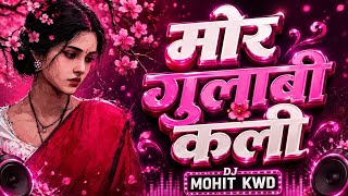 MOR GULABI KALI GOOGLE VIBRATION MIX SONG DJ MOHIT KWD 