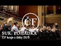 Capture de la vidéo Josef Suk: Pohádka (Petr Altrichter, Společný Orchestr Filharmoniků A Žáků Zuš)