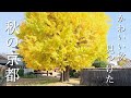 ３連休に行きたい　京都穴場のカラフル紅葉
