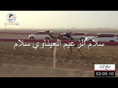 علي راشد الشامسي 