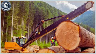 100 Unbelievable Fastest Big Forestry Chainsaw Machines Working At Another Level ▶2