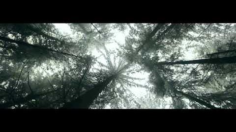 Choice Point: Understand Your World