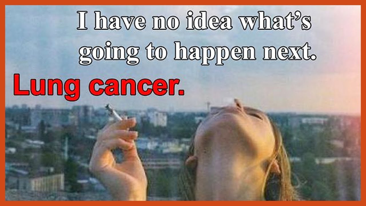 The Best Parody Responses To Hipster Captions