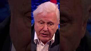 David Attenborough&#39;s Unlucky Rice Buffet 🍚