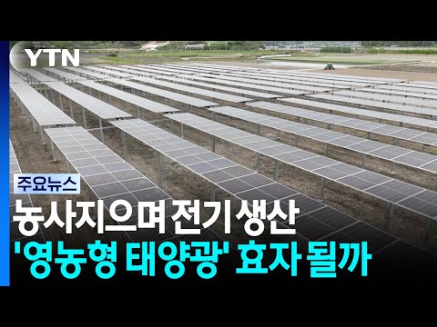 [네트] 농사지으며 전기 생산...'영농형 태양광' 효자 될까 / YTN