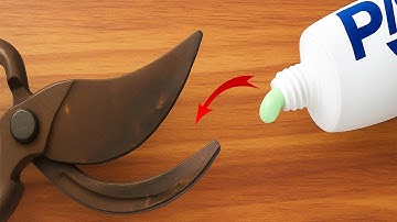 How to sharpen pruning shears to razor sharpness in just 5 minutes! Great ideas