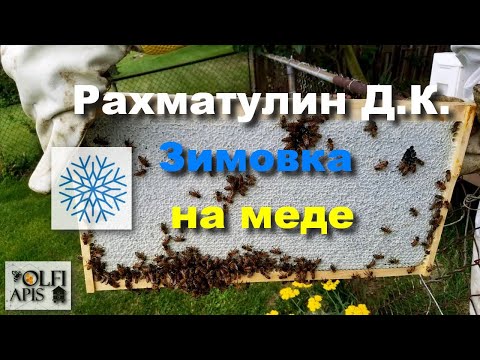 #Рахматулин Д.К. Зимовка