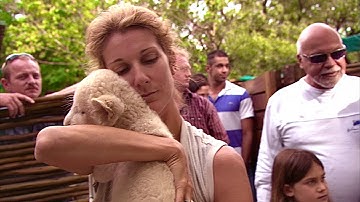 Céline Dion Visits Lion