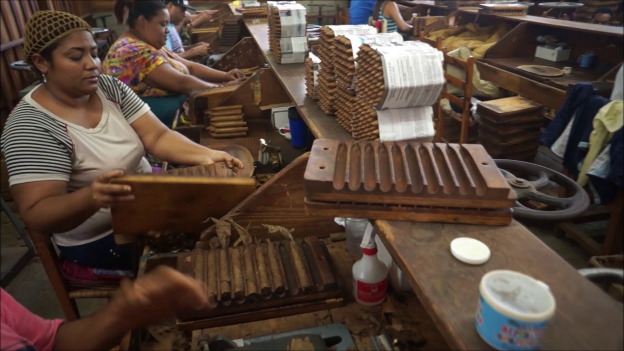 cigars factory tour