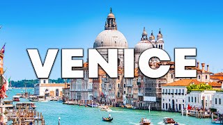 Top 10 Best Things to Do in Venice, Florida [Venice Travel Guide 2023]