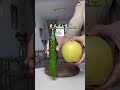 25+女生的早C晚A、40秒一杯、姐妹们千万不要天天喝啊！仙女都在喝什么 果蔬汁 清肠刮油 喝出小蛮腰