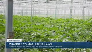 How watchdog says Virginia should change marijuana laws before July 1