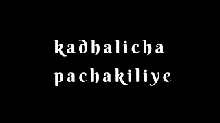 Kadhalicha pachakiliye(#TamilZeromusic)
