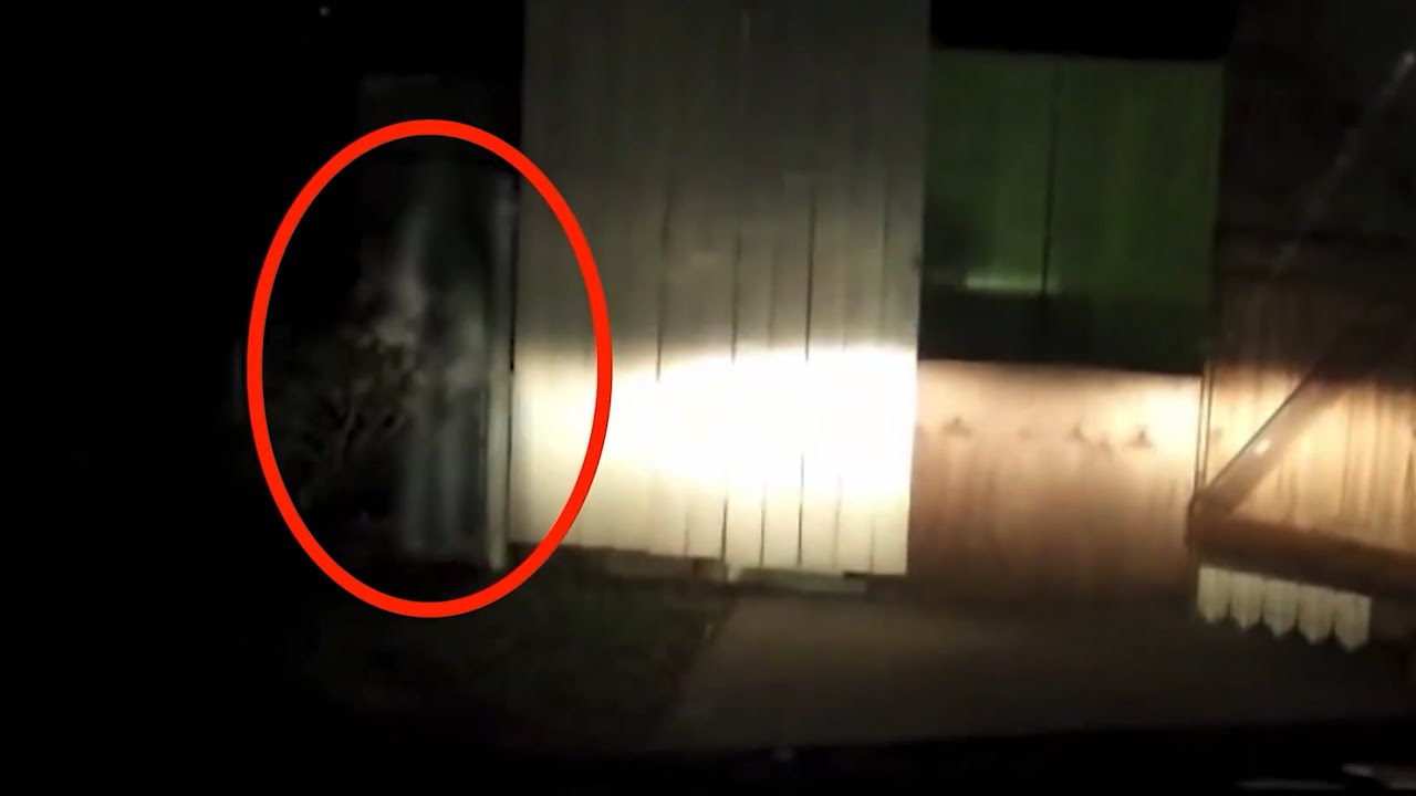 Freaky Real Life Footage That Will Leave You Shaken - YouTube