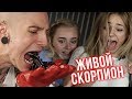 ЗАСУНУЛ В РОТ СКОРПИОНА | САМЫЙ ОПАСНЫЙ ФОКУС В МИРЕ