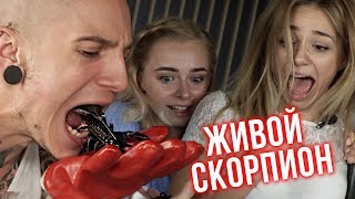 ЗАСУНУЛ В РОТ СКОРПИОНА | САМЫЙ ОПАСНЫЙ ФОКУС В МИРЕ