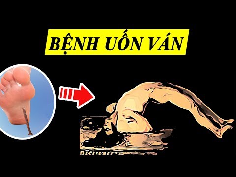 Video: Rỉ kim vân sam là gì: Nhận biết các triệu chứng gỉ kim vân sam