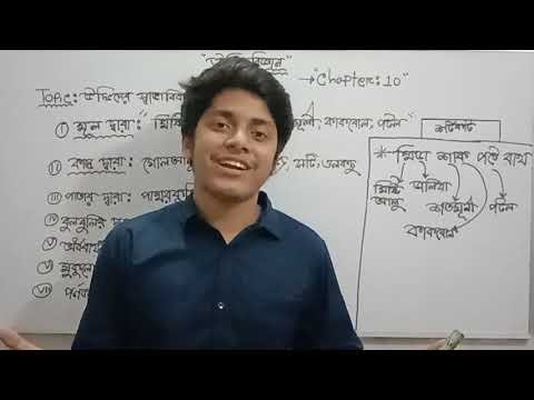 ভিডিও: Radermacher (33 ছবি): বাড়ির যত্ন। উদ্ভিদ পাতা ঝরে কেন? চাইনিজ রেডারমাচার বা টাইটমাউস, ফুল এবং প্রজননের ধরন বর্ণনা