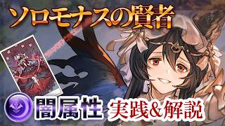 ルミナス・天元なしで簡単周回！ソロモナスの賢者 闇属性攻略＆おすすめキャラ紹介【グラブル】【ニーア】【十賢者】【限界超越】