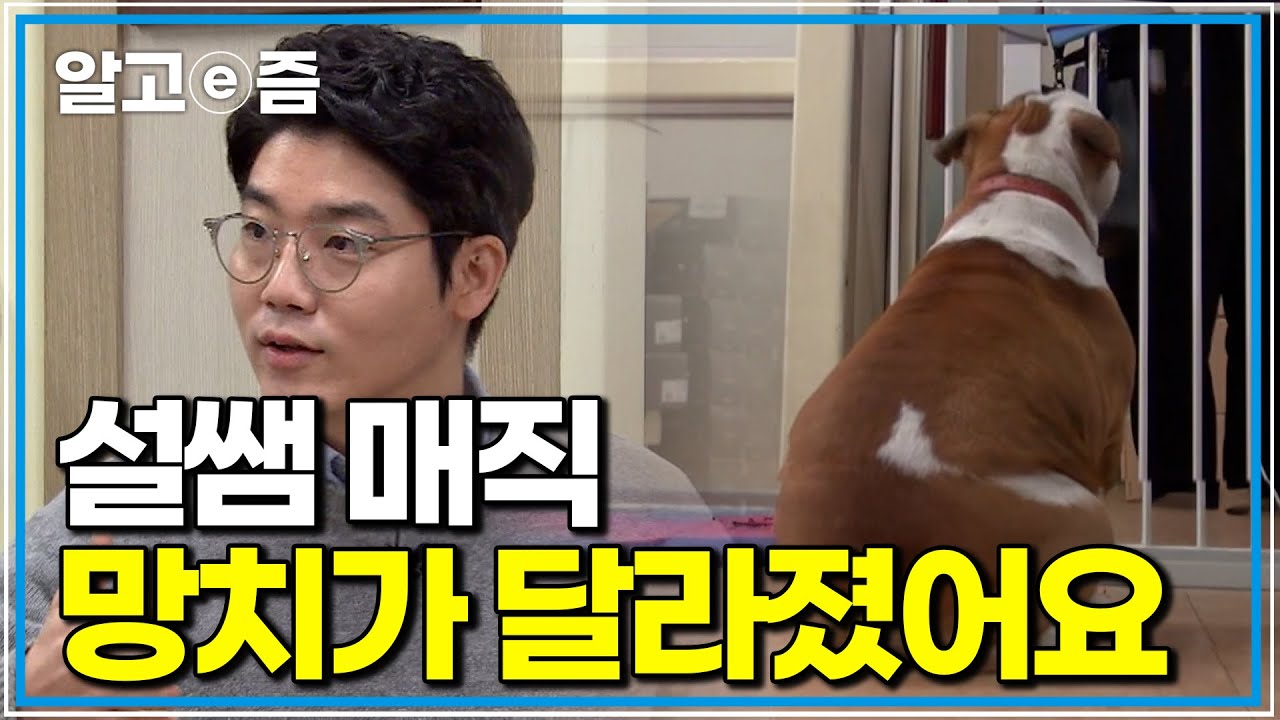 흥분할 때는 사무실 직원들도 무는 망치가 설쌤을 만나자 달라지는데, 설쌤은 어떤 매직을 보여줬을까｜ㅇㅇ｜알고e즘