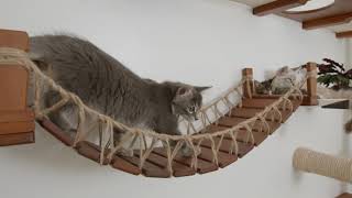 Our latest collection of cat wall furniture by Catastrophic Creations 82,003 views 3 years ago 1 minute, 45 seconds