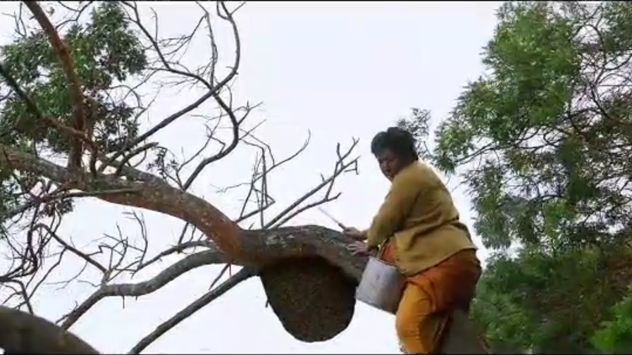 SEMBI official trailer 