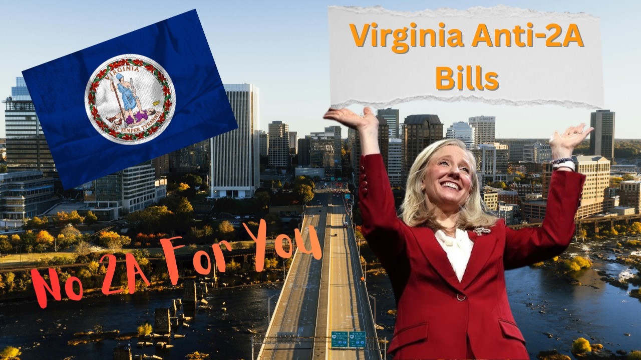 Virginia House Passes Sweeping Gun Control Bills —  Why It Matters 