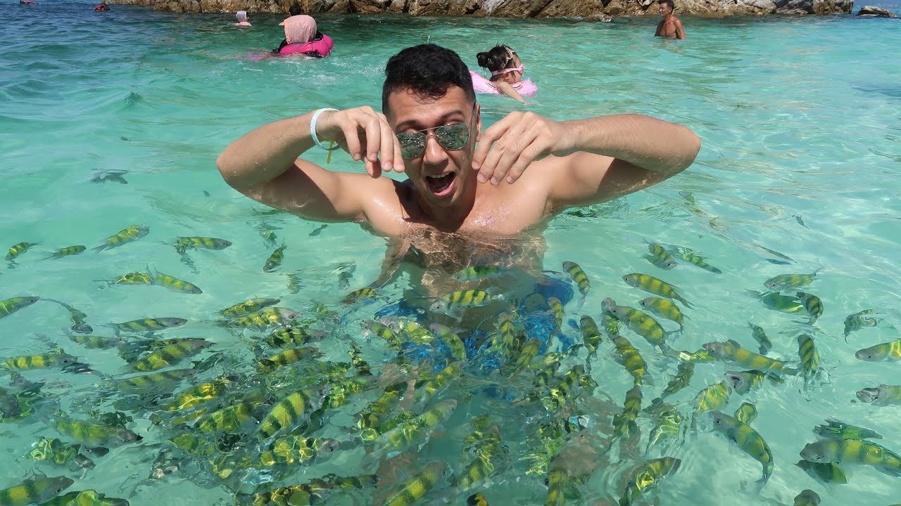 KHAI ISLAND FISH - ELEPHANT RIDE - THAILAND (DAY 2) - YouTube