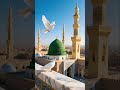 mery Allah NY bulaya MN Hajj py jaon ga...