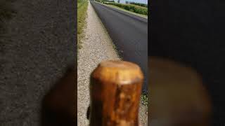 Just A Short daytime walk