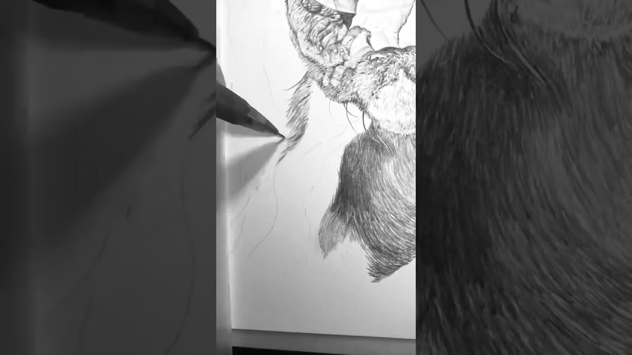 How to draw a dog with Bubbles 🫧 