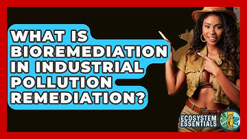 What Is Bioremediation In Industrial Pollution Remediation? - Ecosystem Essentials