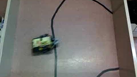 Collision Avoidance Robot