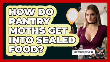 How Do Pantry Moths Get Into Sealed Food? - Insects and Invaders