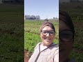 مرحبا بكم في المزرعة ديالي لي بغا نعناع والربيع ألف مرحبا مرحبا بكم في المزرعة ديالي لي بغا نعناع والربيع ألف مرحبا