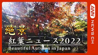 【紅葉ニュースまとめ】「虹のようだ」訪日観光客殺到の